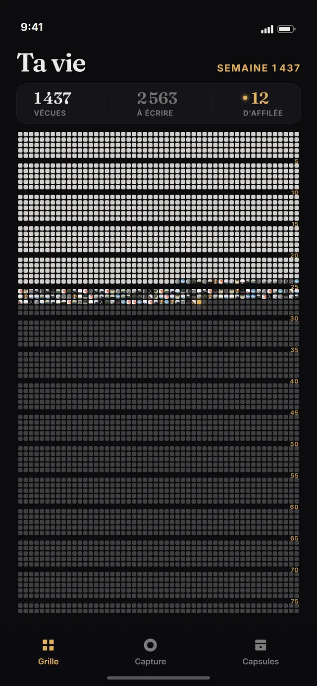Écran de la grille de vie dans Pola : 1 437 semaines vécues, une bande de cases remplies de photos
